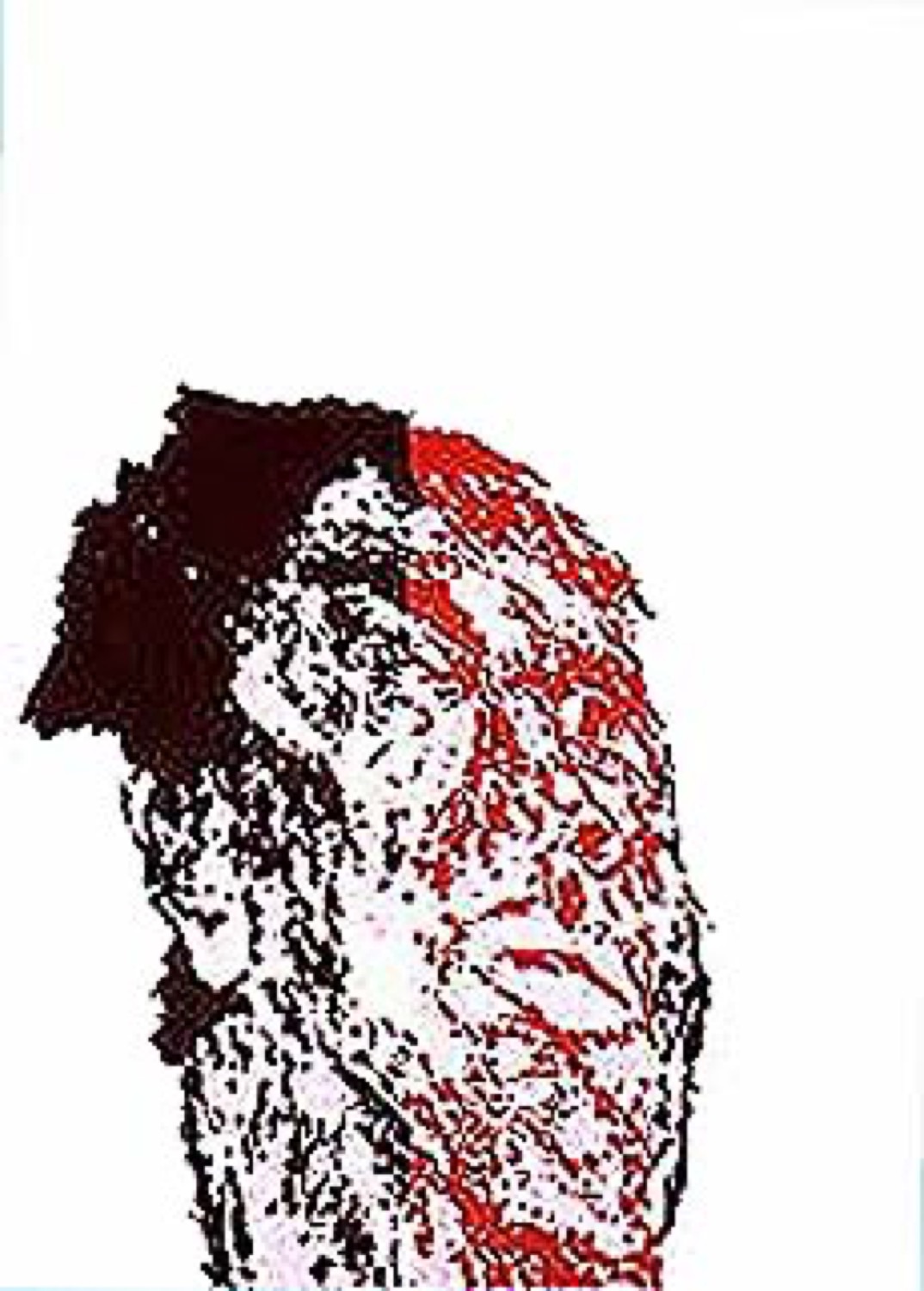 H&O 43 — Leon Golub (USA)