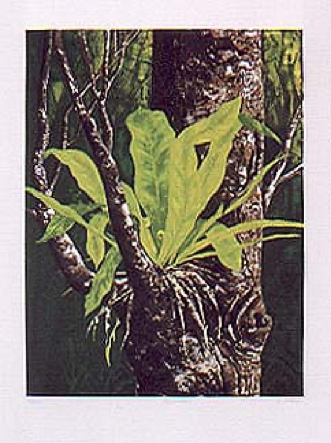 H&O 48 by Noelene Pasisi