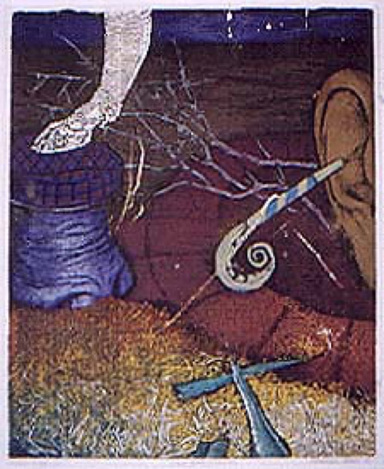 H&O 71 by Philippa Hobbs